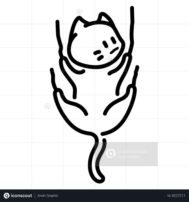 Cat stick in a wall  Illustration