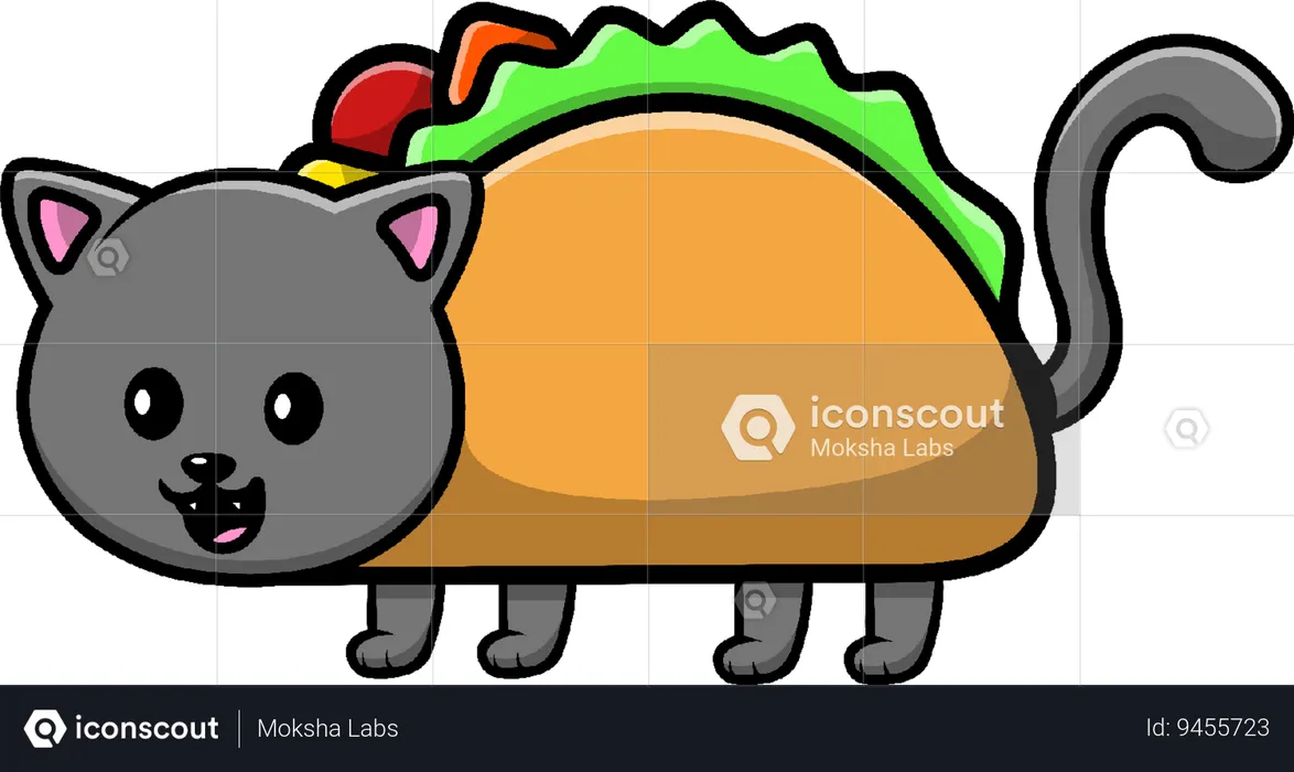 Cat Taco  Illustration