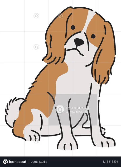 Cavalier spaniel dog  Illustration