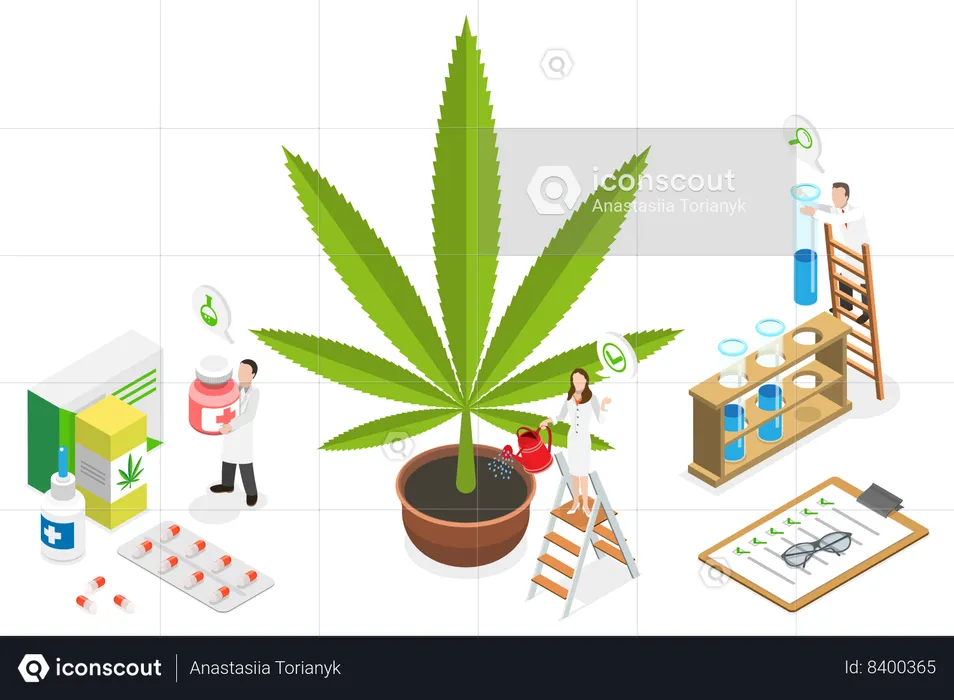 CBD Cultivation  Illustration