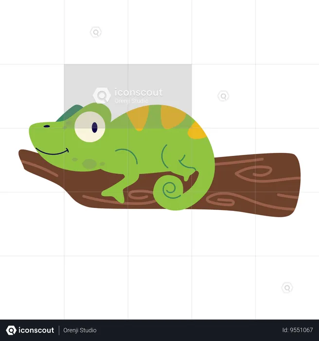 Chameleon  Illustration