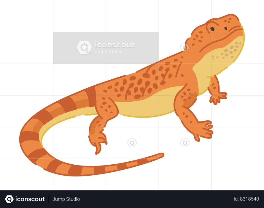 Chameleon  Illustration