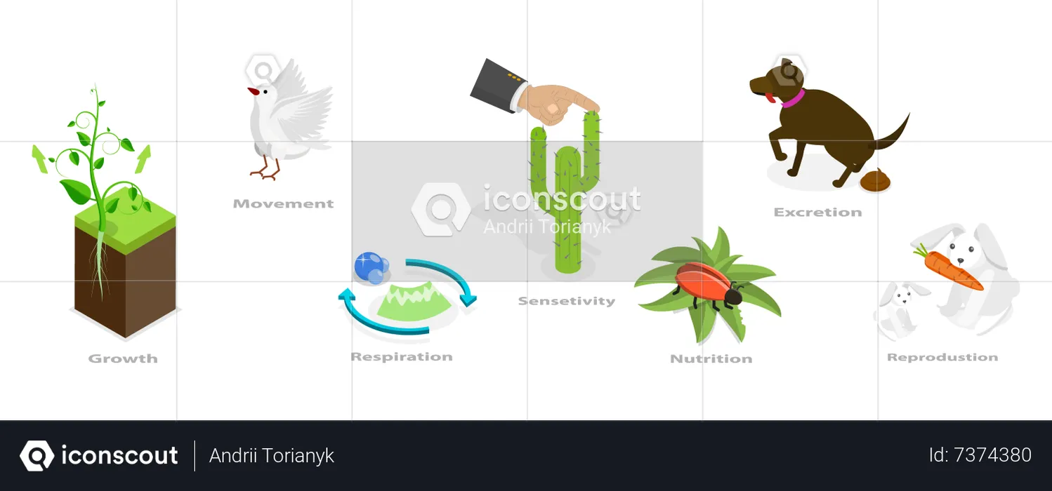 Characteristics Of Living Things  Illustration