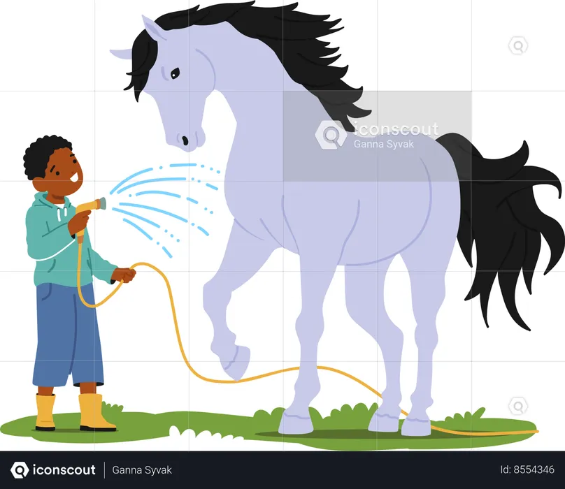 Cheerful Little Boy Character Joyfully Washes A Content Horse With A Hose In A Sunlit Summer Field  Illustration