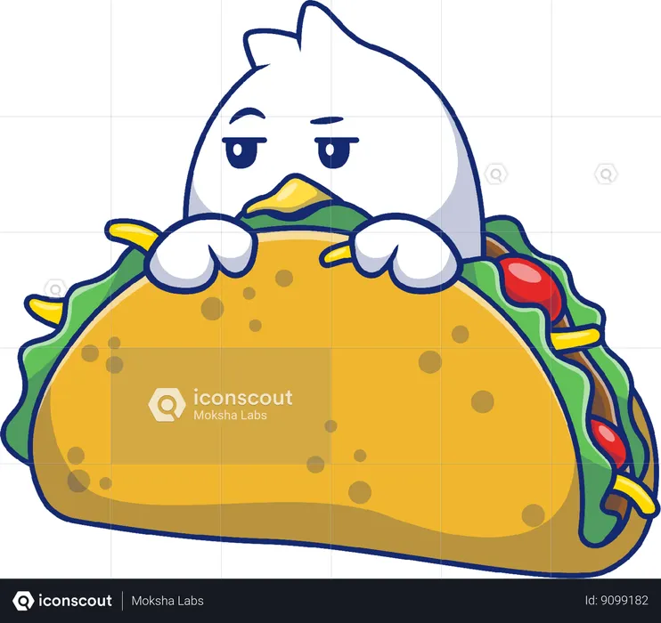 Chick In Taco  Illustration