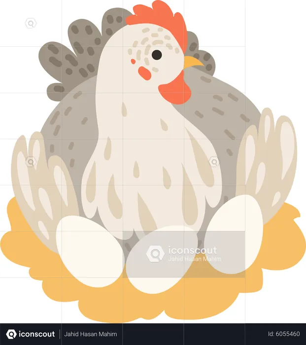 Chicken brood hen  Illustration
