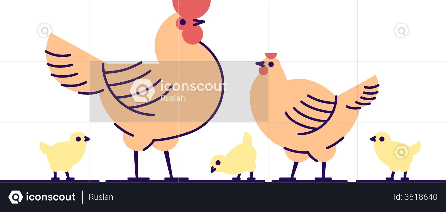 Chicken family  Illustration