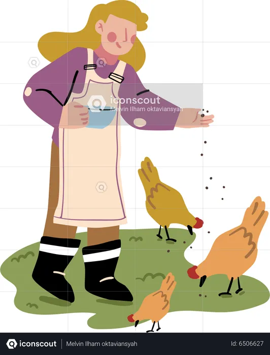 Chicken Feeding  Illustration