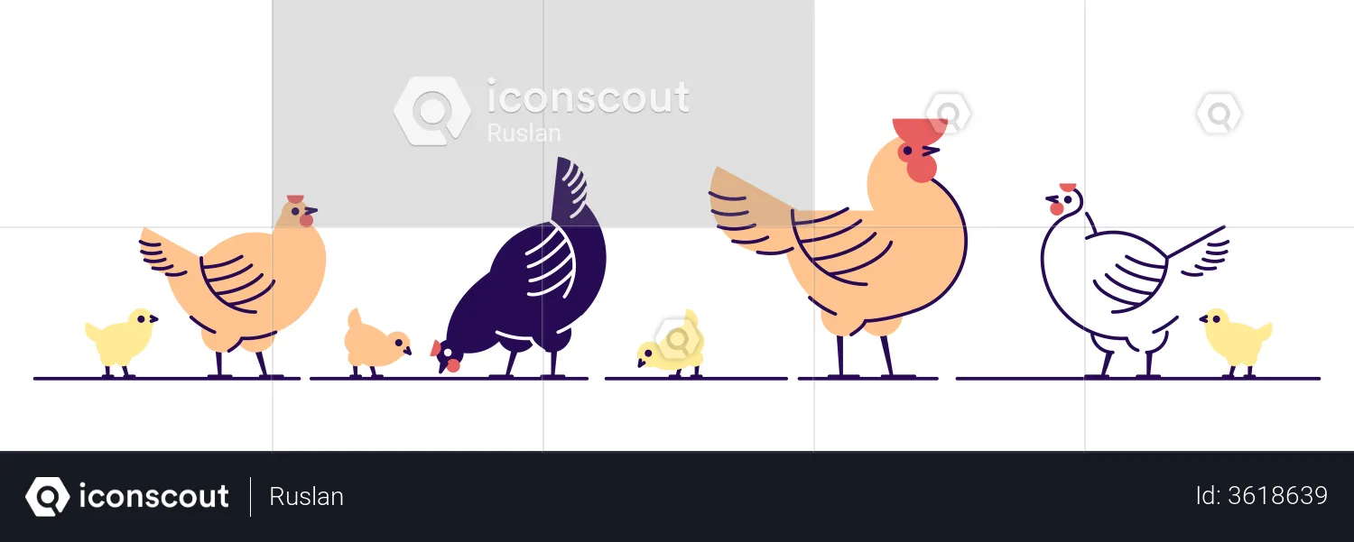 Chickens  Illustration
