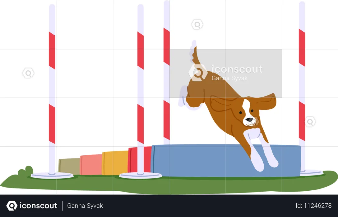 Chien démontrant ses capacités de saut  Illustration