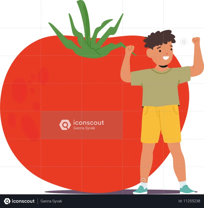 Child standing with tomato  Illustration