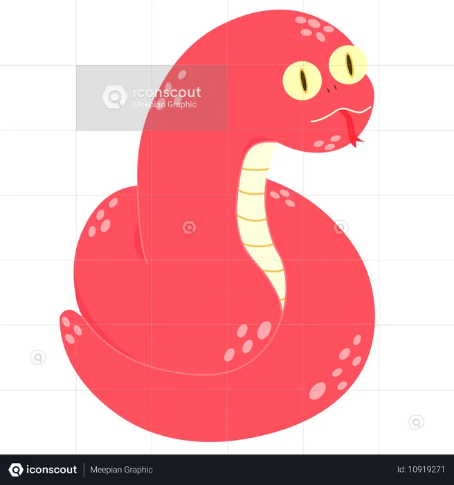 Chinese playful snake  Illustration