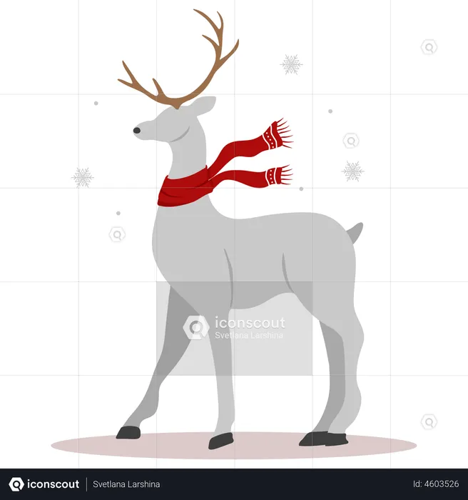 Christmas reindeer in scarves  Illustration