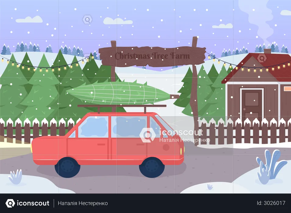 Christmas tree farm  Illustration