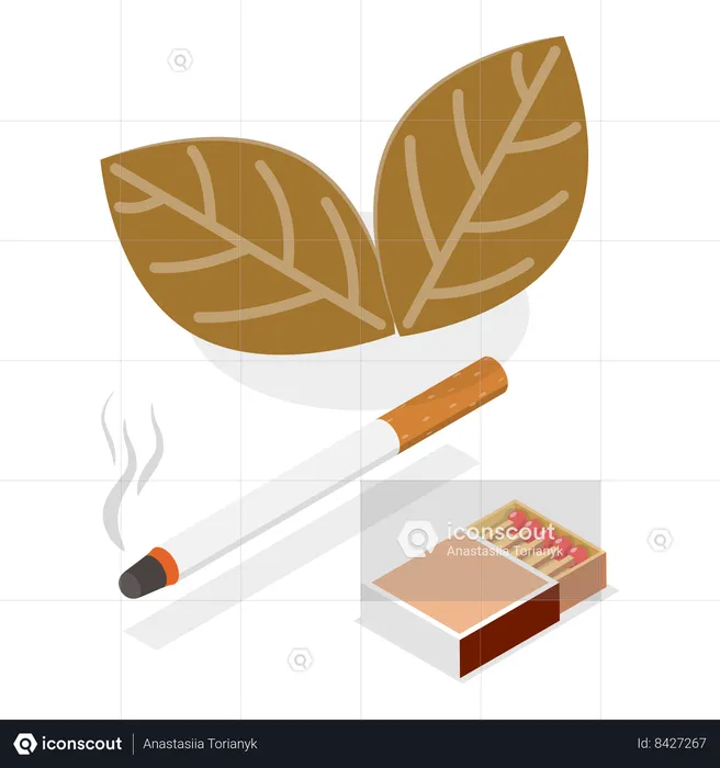 Cigarette with match box  Illustration