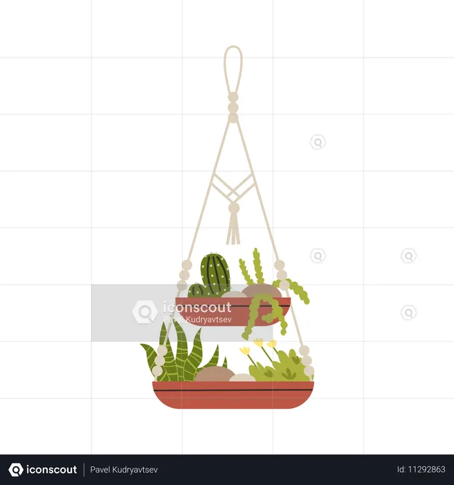 Suspensions en macramé pour plantes en pot  Illustration