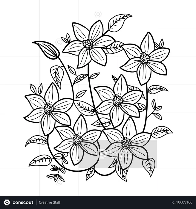 Clematis-Blüten  Illustration