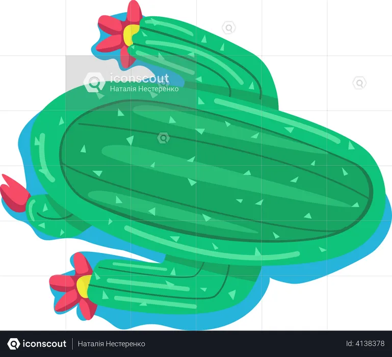 Colchão de ar em forma de cacto  Ilustração