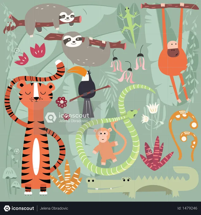 Colección de lindos animales de la selva tropical, tigre, serpiente, perezoso, mono.  Ilustración