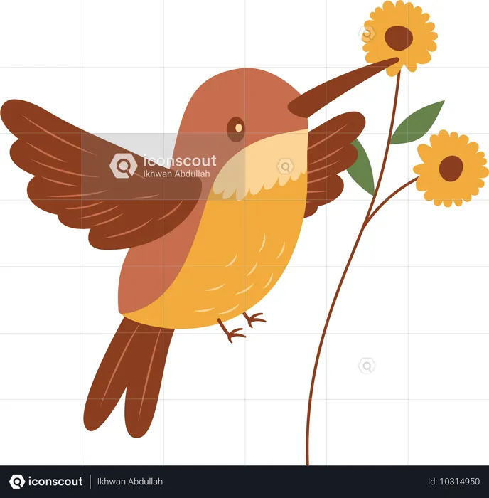 Colibri mignon volant avec une fleur  Illustration