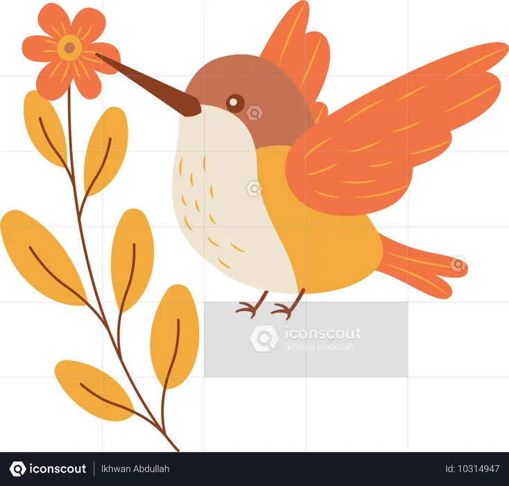 Colibri mignon volant avec une fleur florale dans le parc  Illustration