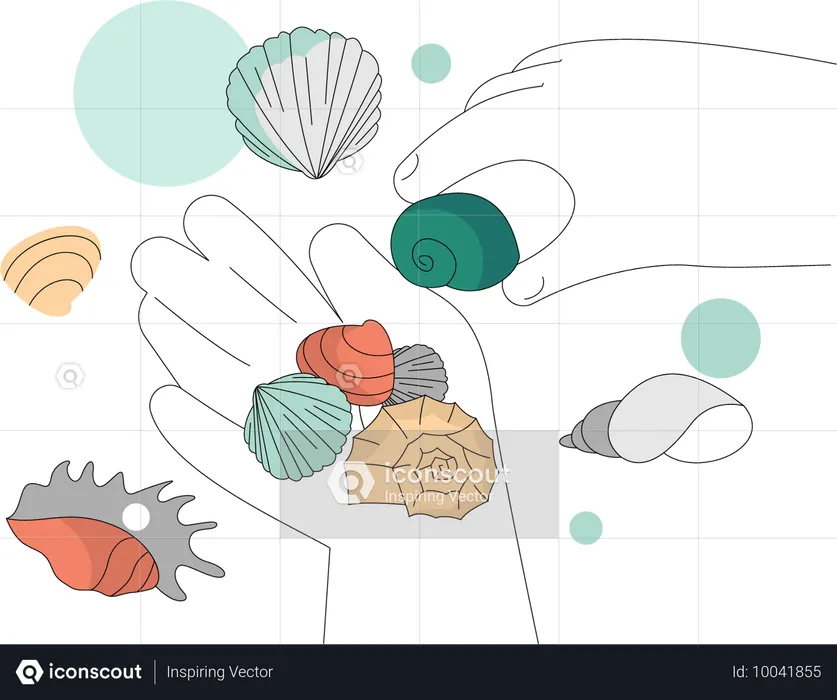 Collection de coquillages  Illustration