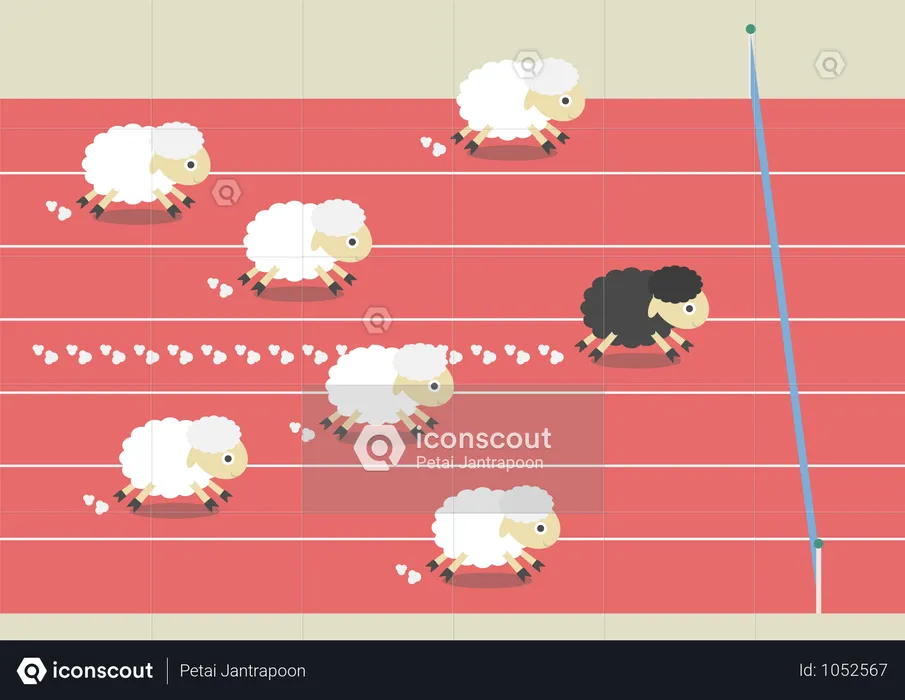 Competition Of Sheep  Illustration