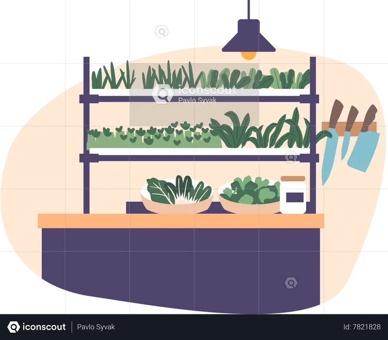 Configuración de cocina sostenible  Ilustración