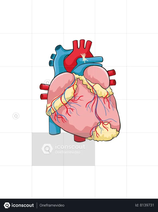 Coração  Ilustração