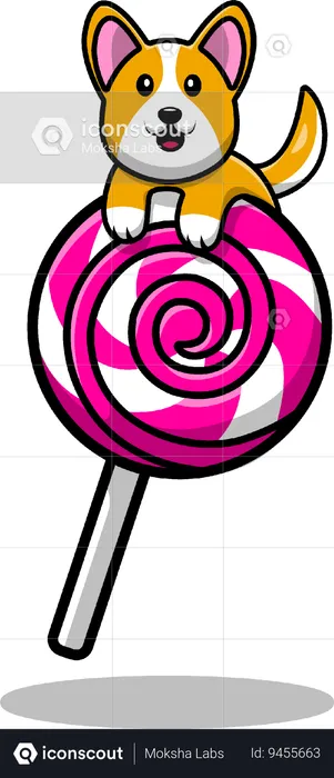 Corgi Dog On Lollipop Candy  Illustration