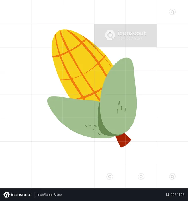 Corn  Illustration