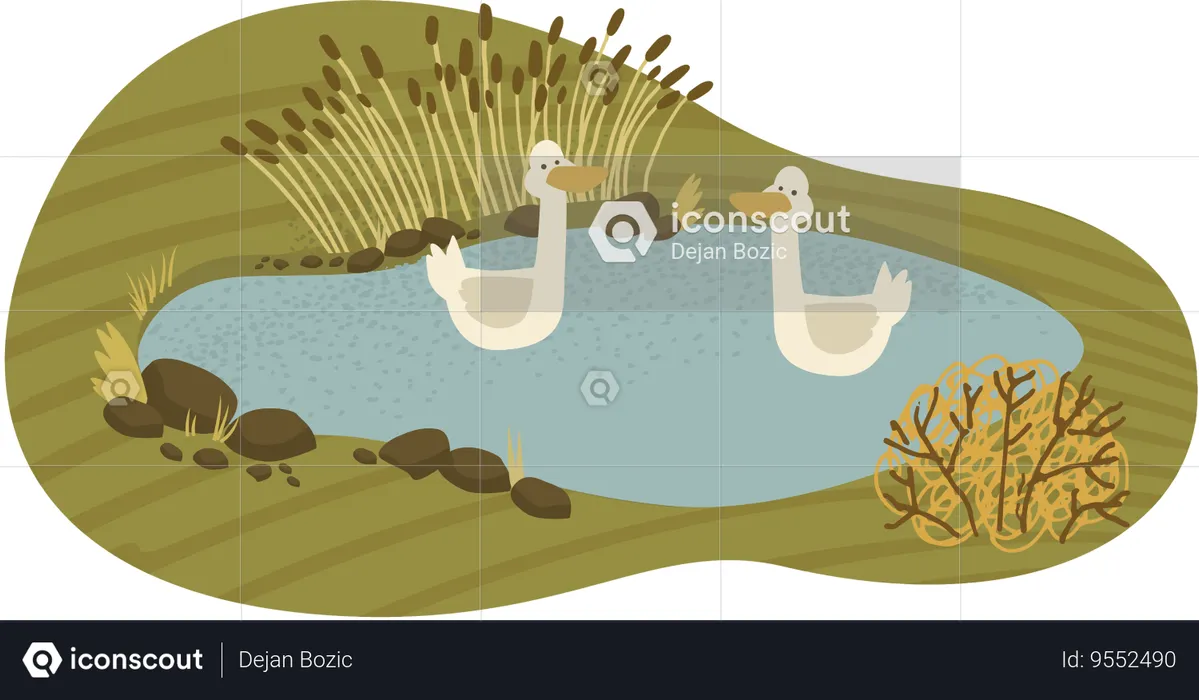 Countryside Lake  Illustration