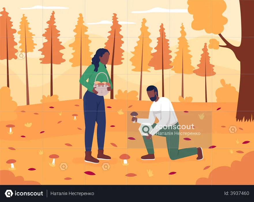 Couple collecting mushrooms  Illustration