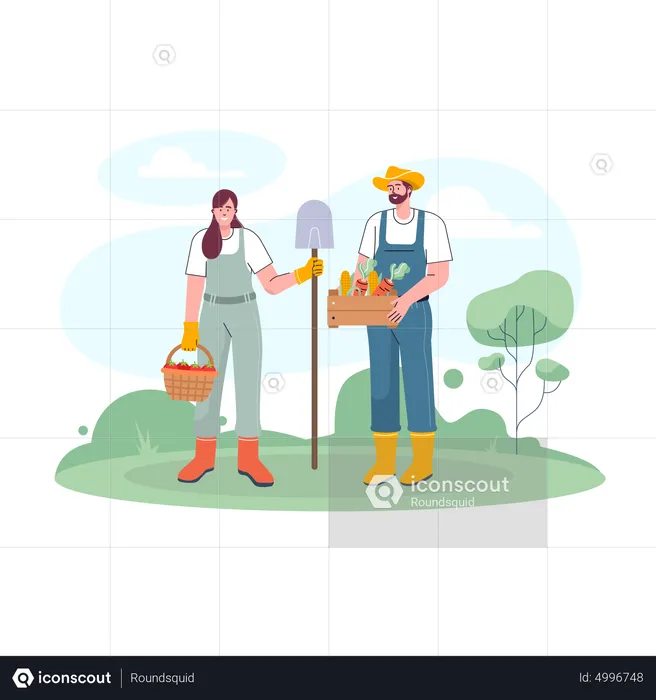 Couple of farmer harvesting fresh vegetables  Illustration