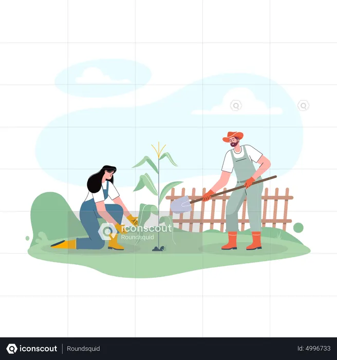 Couple of farmer taking care of crops  Illustration