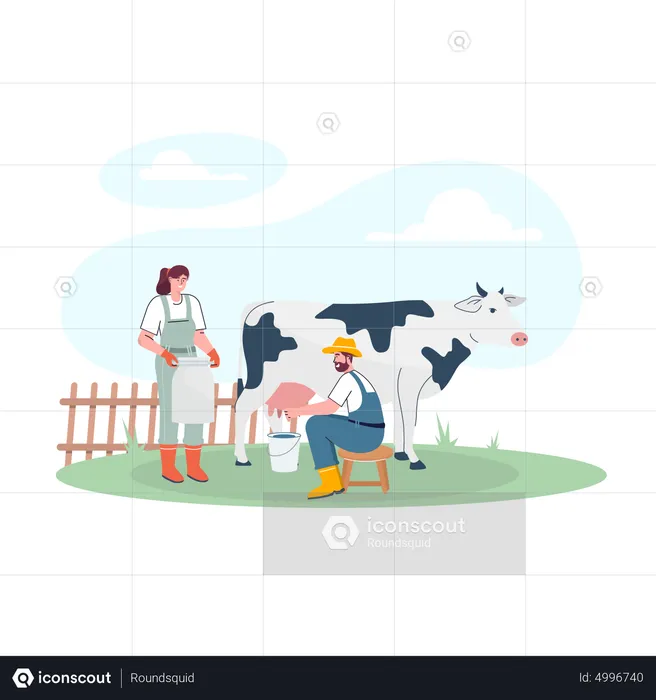 Couple of farmers collecting milk from cow  Illustration
