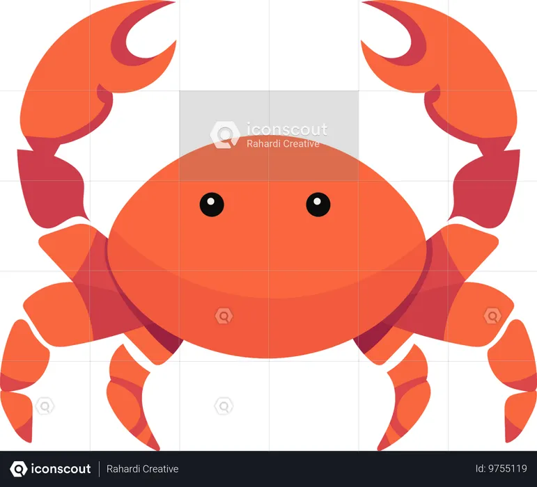 Crabe  Illustration