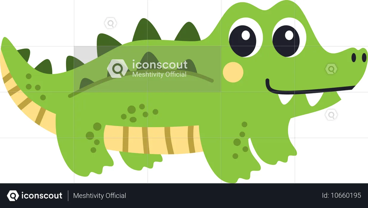 Crocodile  Illustration