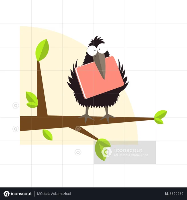 Crow  Illustration