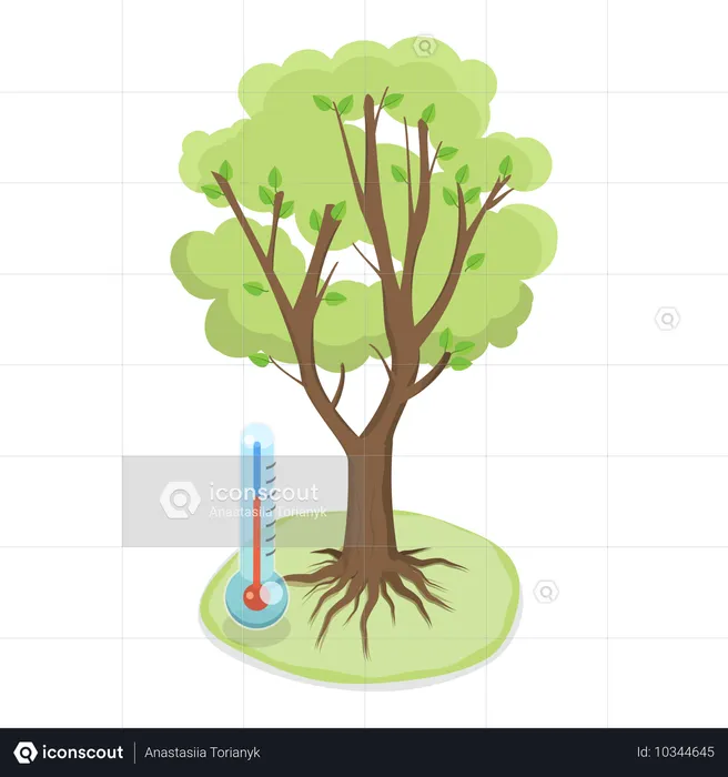 Cuatro estaciones  Ilustración