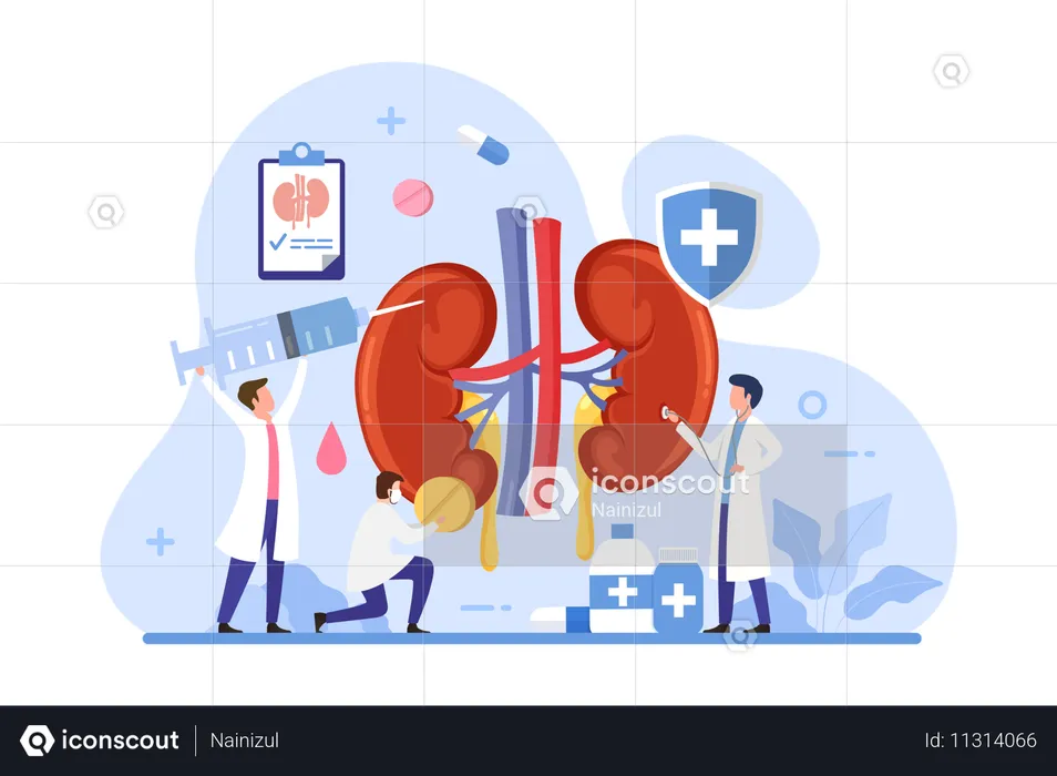 Cuidados de saúde e tratamento renal  Ilustração