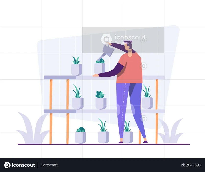 Cuidando las plantas  Ilustración