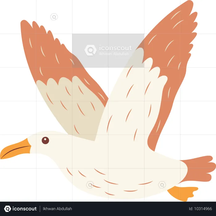 Cute Albatross Bird Flying Free  Illustration