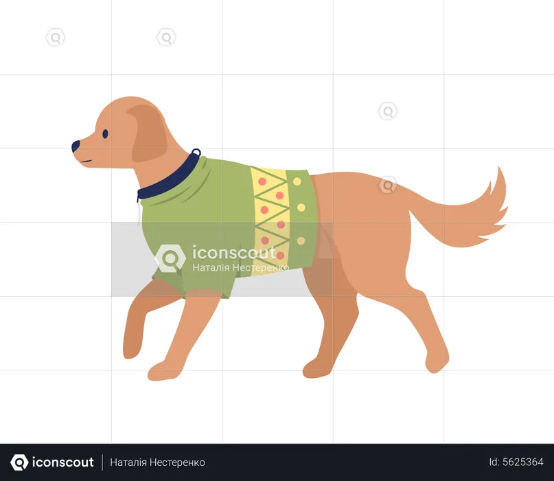 Cute big dog with christmas sweater outfit  Illustration