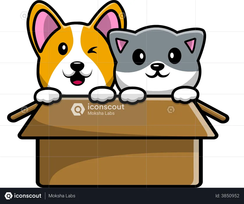 Cute Cat And Corgi Dog Playing In Box  Illustration