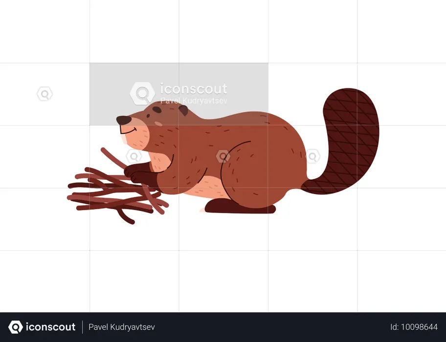 Cute funny beaver folding branches  Illustration