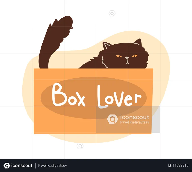 Cute grumpy black cat playing and sitting in cardboard box  Illustration