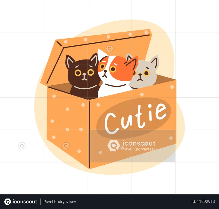 Cute kittens playing and sitting inside in cardboard box  Illustration