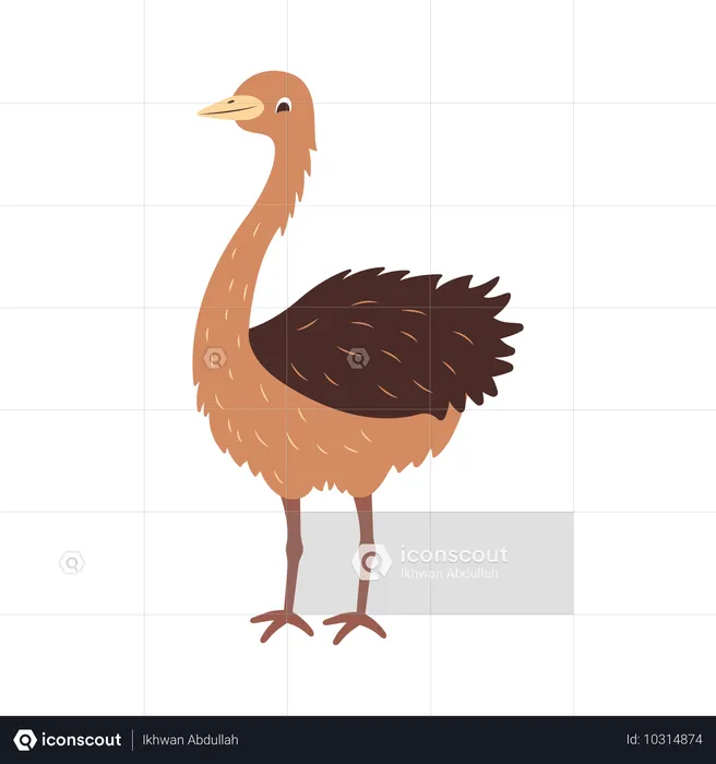 Cute Ostrich  Illustration