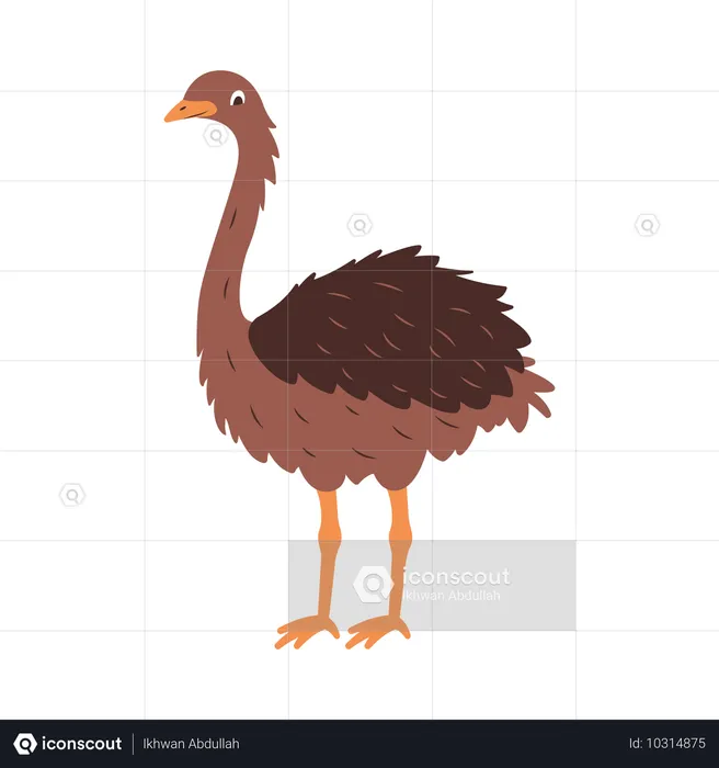 Cute Ostrich  Illustration